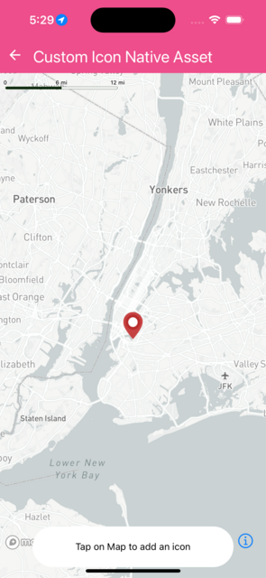 CustomIconNativeAsset.png