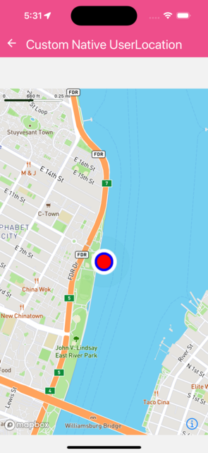 CustomNativeUserLocation.png